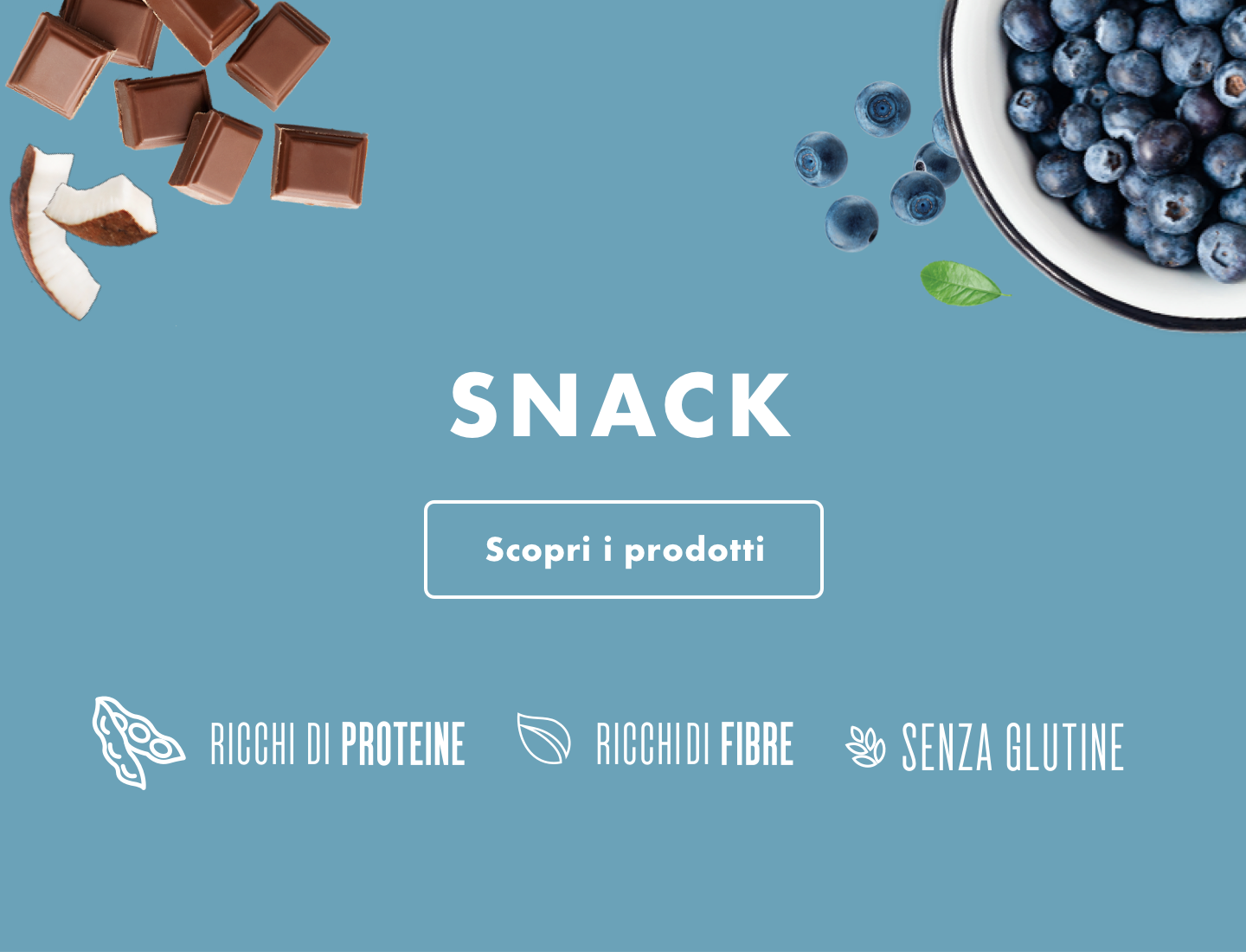 Fixed 2columns desktop template protein 02 text_2